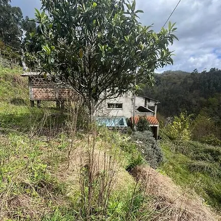 ヴィラ Quinta Luxo Com Piscina No Geres Rio Caldo